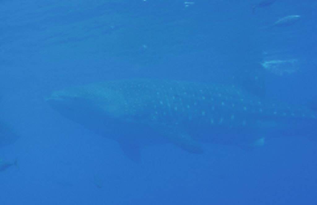 17230db0-b93a-43b3-b473-52ee6620608b