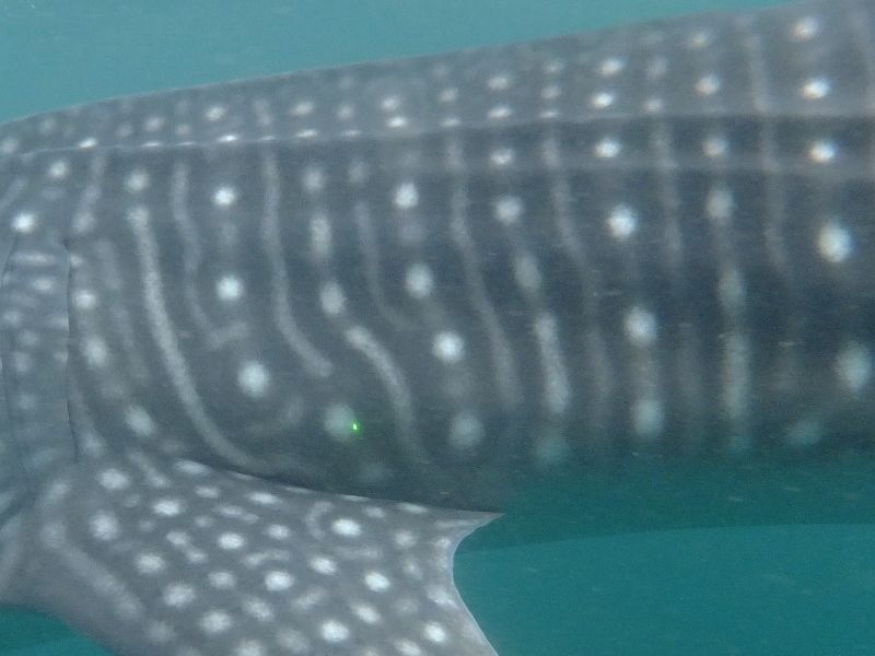 f5c70b60-d38f-4b32-8822-29dbedae690b