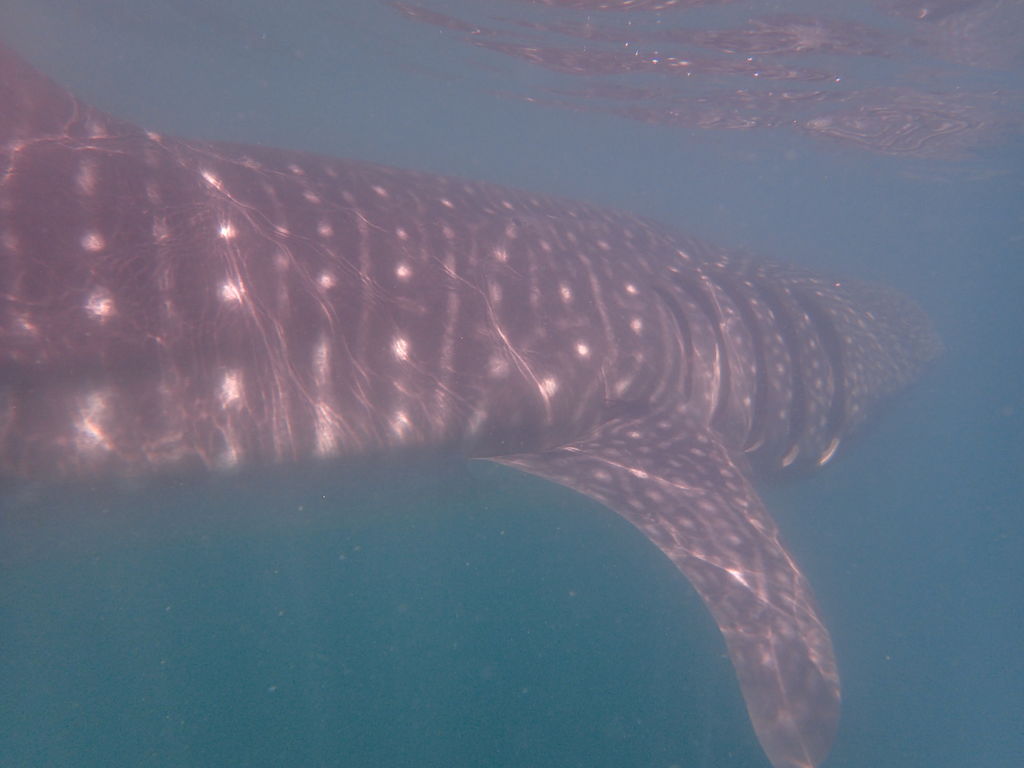 f3278745-e161-4d36-b13e-73c4c566d212