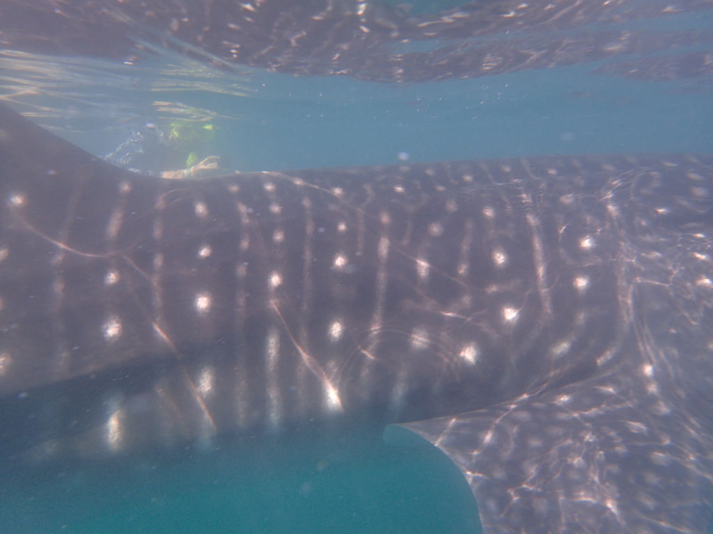 f3278745-e161-4d36-b13e-73c4c566d212