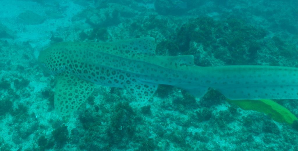 547c47e7-9133-4dc3-a432-b64d11e58686