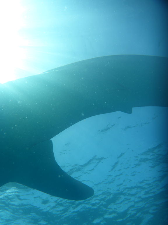 406077c8-25a9-4207-aadf-56e546024a2a