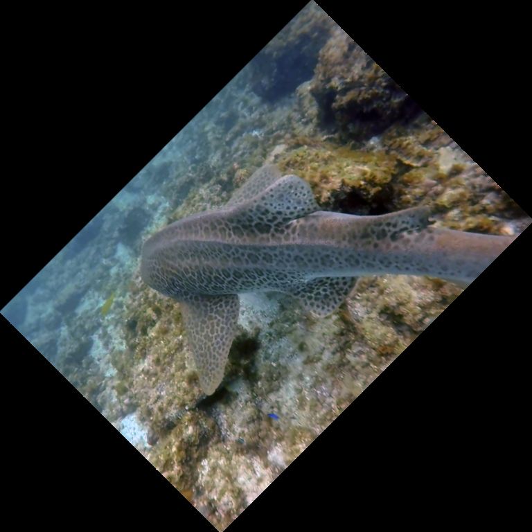 50df2b09-2869-4002-a78e-69ba8df70eb7