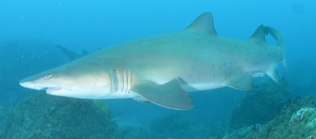 c44052e2-9d58-46cc-a51b-ee2a7bcb90f4