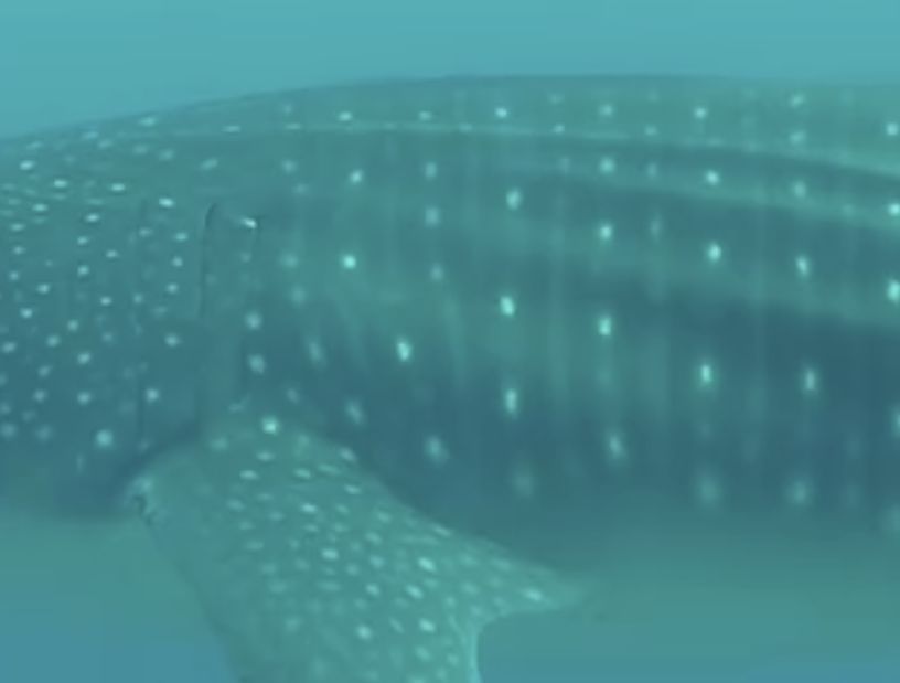 310cf378-1cbb-4f21-a7f7-65d234bb0b23