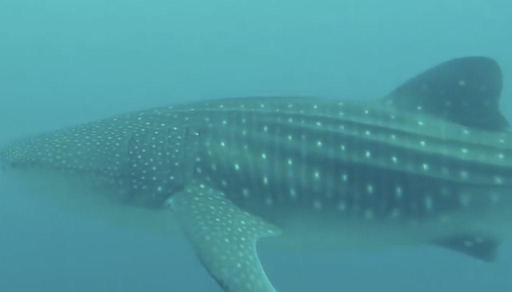 310cf378-1cbb-4f21-a7f7-65d234bb0b23