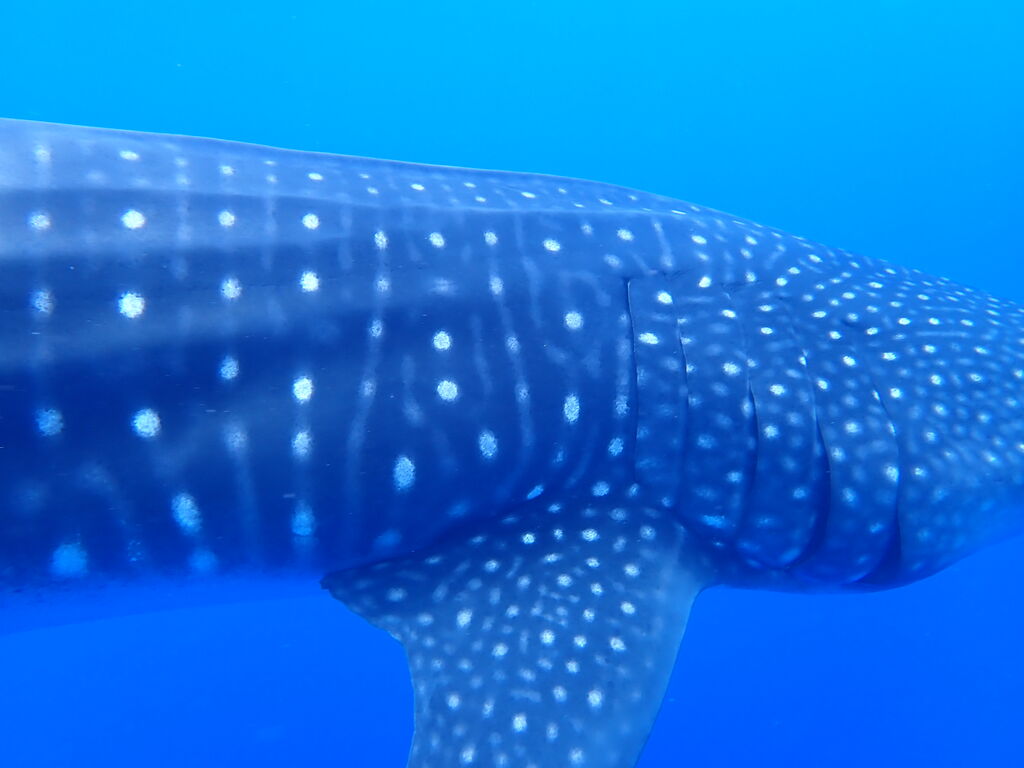 4574a8b7-03e0-4b1e-9d6a-375c56186acf