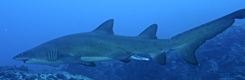 188aa8f9-5bd5-4b87-8983-b4283544dc6e