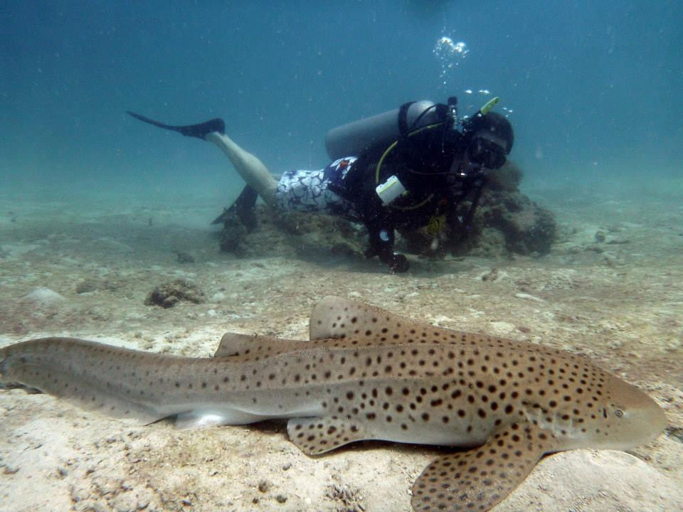 1a20d605-45b7-45d4-8944-aa10e3ca2645