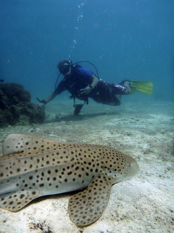 1a20d605-45b7-45d4-8944-aa10e3ca2645