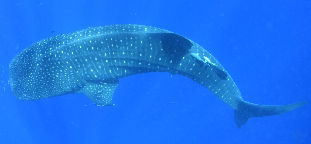 7ff48b42-7036-46c6-bd84-fec8d143f8ac