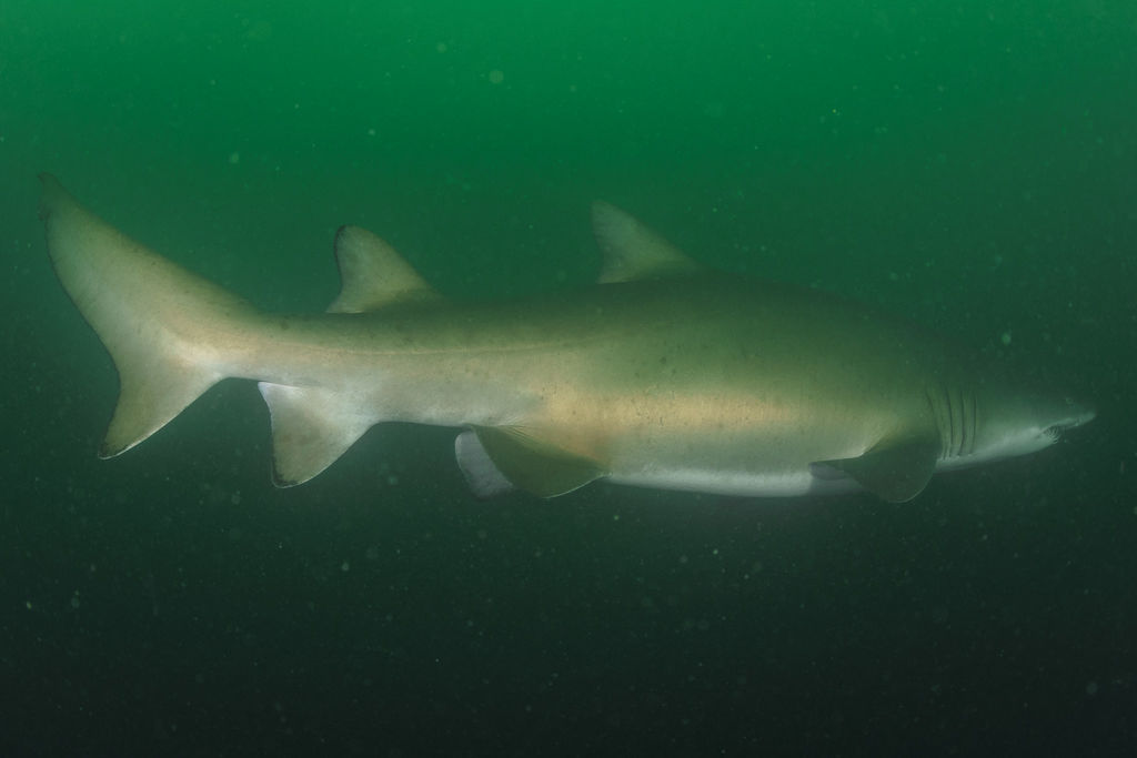 305ce611-1f6d-44f5-9a46-b5534ecc18fd