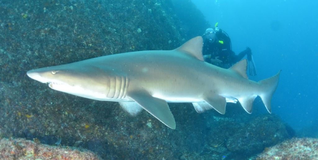 c15e9f10-d2c9-425b-b00e-39d5cb4451ec