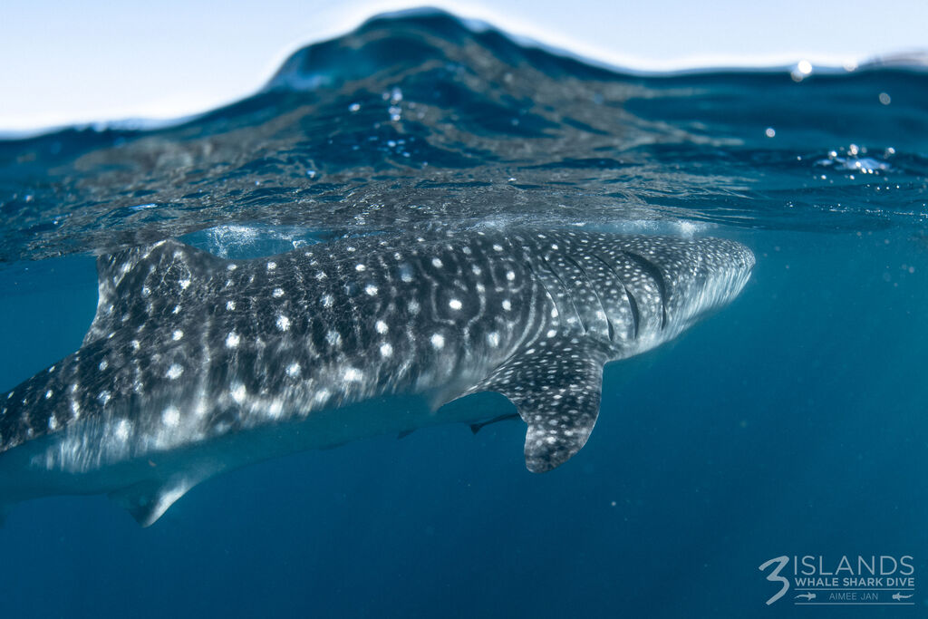 25faa725-63a4-4989-ac4d-b27659bf7373