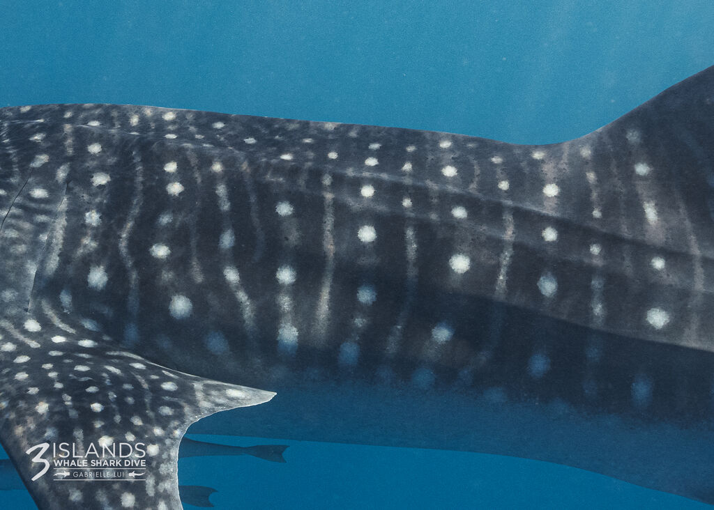 799ade80-fa6a-4297-8fa6-c37d8ee874c2