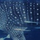 19148f02-d017-404e-825f-80fbd16c68d7