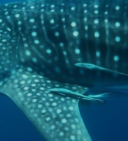 19148f02-d017-404e-825f-80fbd16c68d7