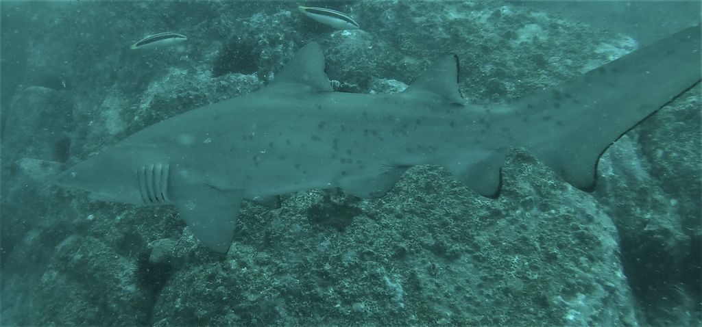 fd515a1a-f6cd-4c3c-b83a-6fd9376feac6