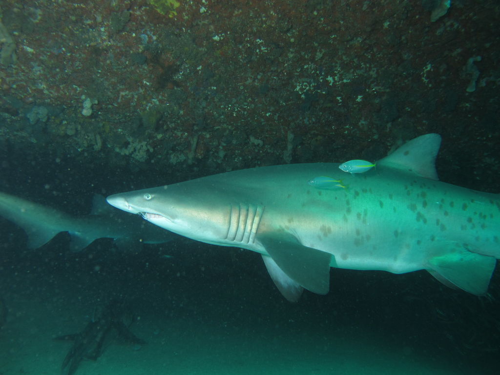 e13b171a-73cb-4d66-a19c-8e18717a27ed