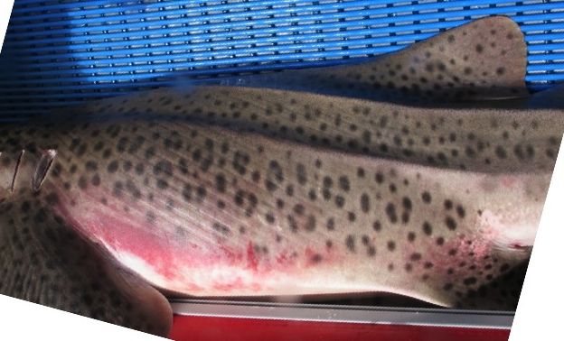 1242854c-44e4-4c66-ba2a-ffb54dbc901f