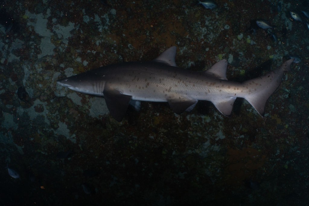 49a77900-d23c-42f9-915e-4376887be56e