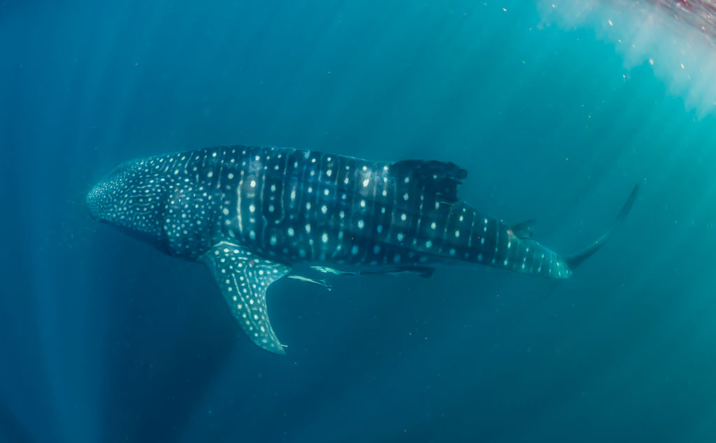 816c2f96-fa6a-470d-8ccc-ce963238d22f