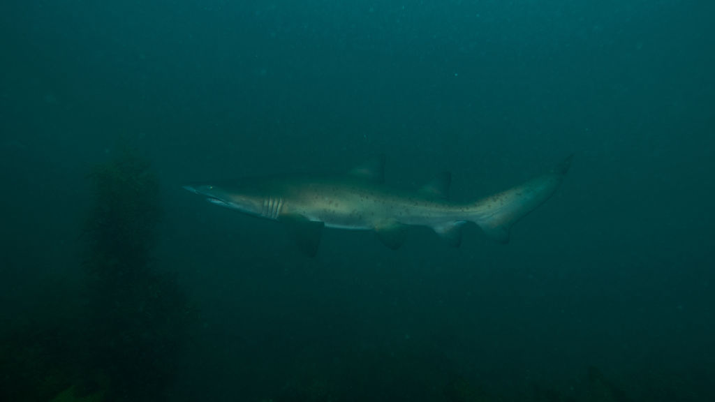 9d414684-9560-40f5-af1b-c9feeff865ae