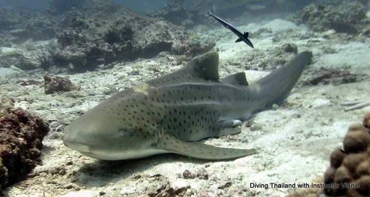 2acba137-f1bf-4cd4-928b-8a60d6c1be83