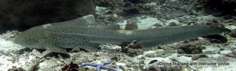 2acba137-f1bf-4cd4-928b-8a60d6c1be83