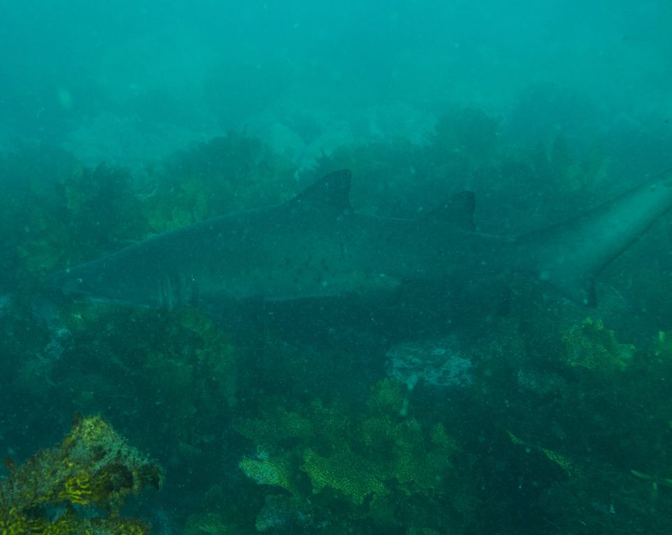 835b77aa-9e1e-4e36-af9a-60887300d937