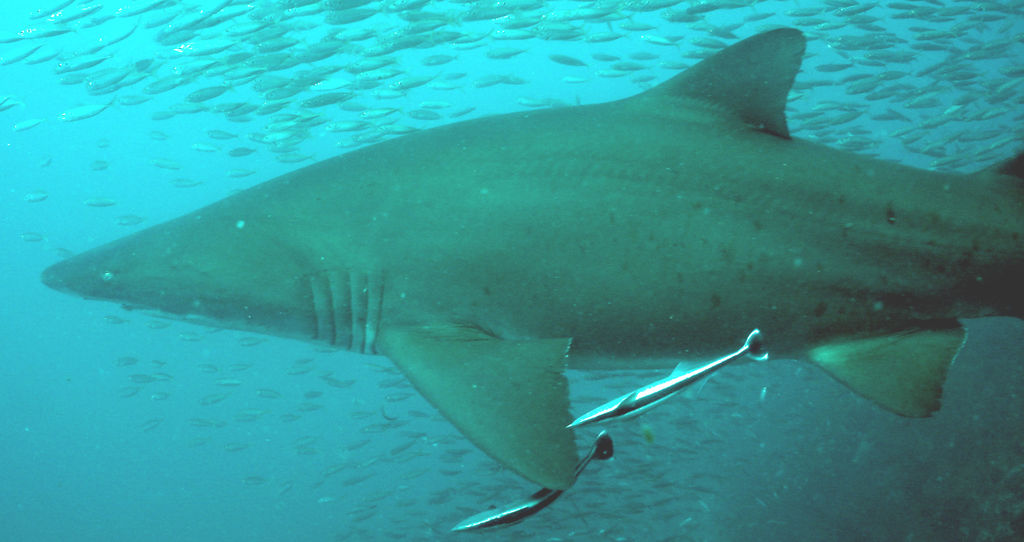 3608328c-7077-4b2a-b899-6c0929aaff54