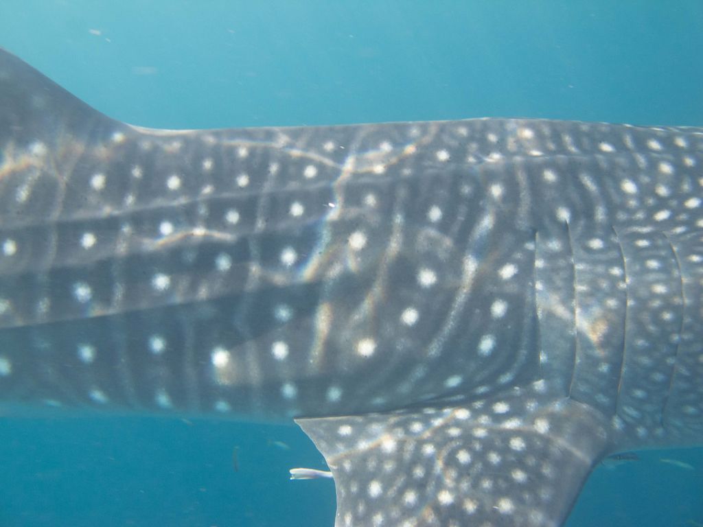 bc643ba1-4478-44fb-82f9-3cb00e47fd62