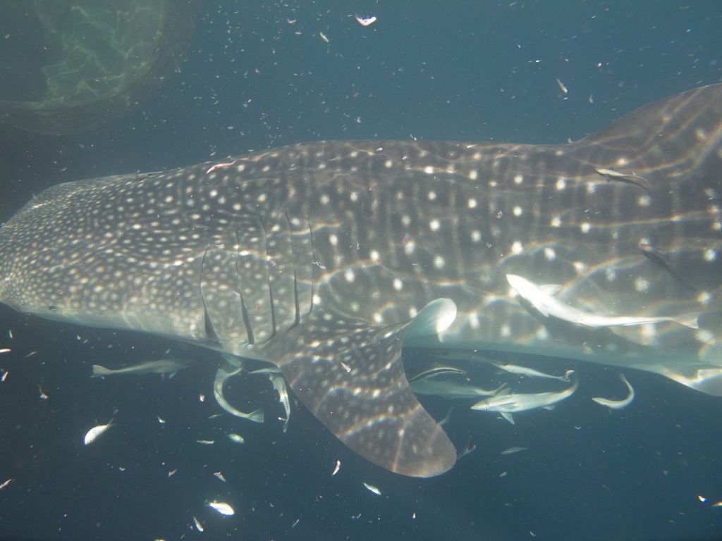 bc643ba1-4478-44fb-82f9-3cb00e47fd62