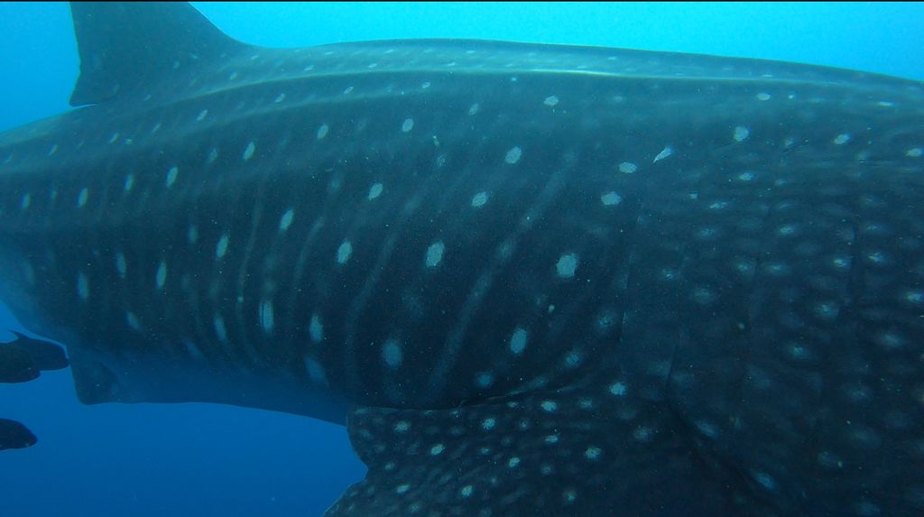 13473264-f267-4f93-8671-6319641573c1