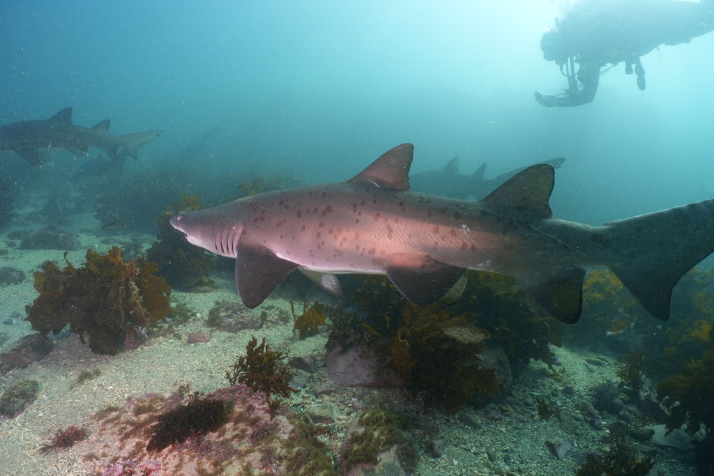 f8909bd7-f4dc-4c4a-8349-5309fbfbbe58