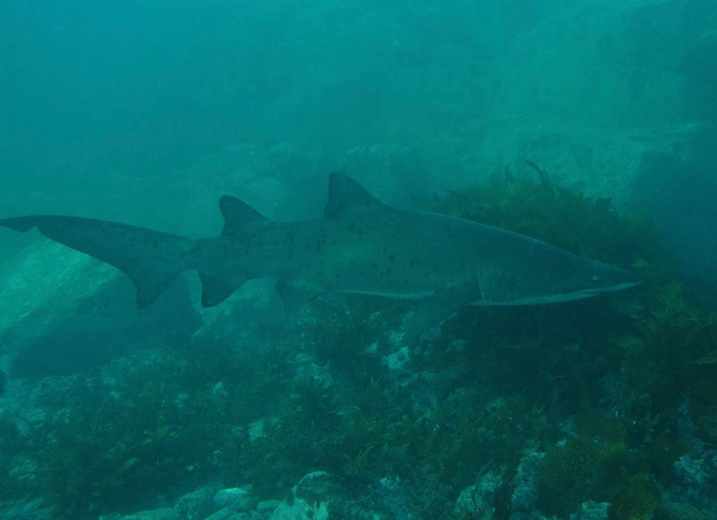 7799e8d7-9d61-413b-9715-19e6a0c8d844