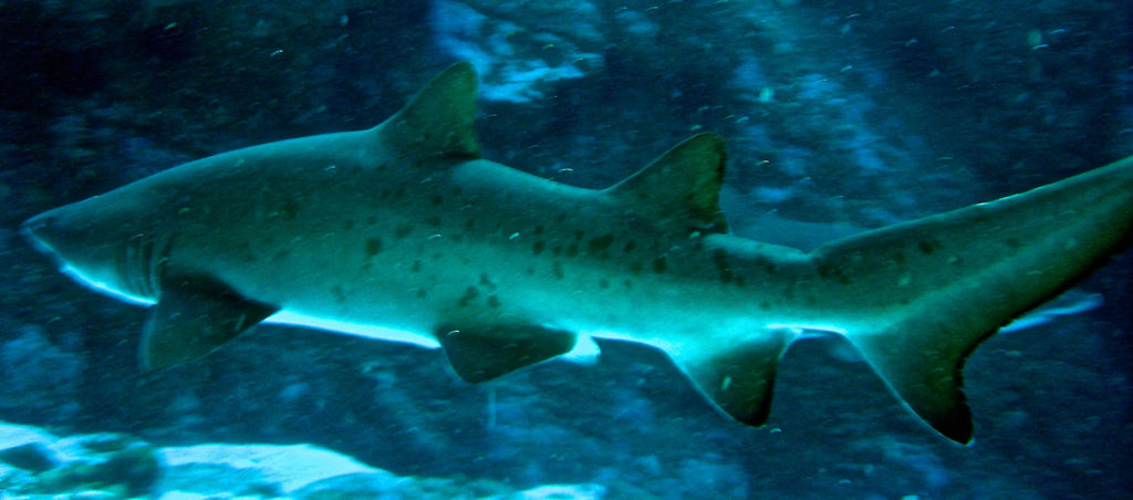 04d6e07e-d522-4e6e-8284-b6c36a91dbcd