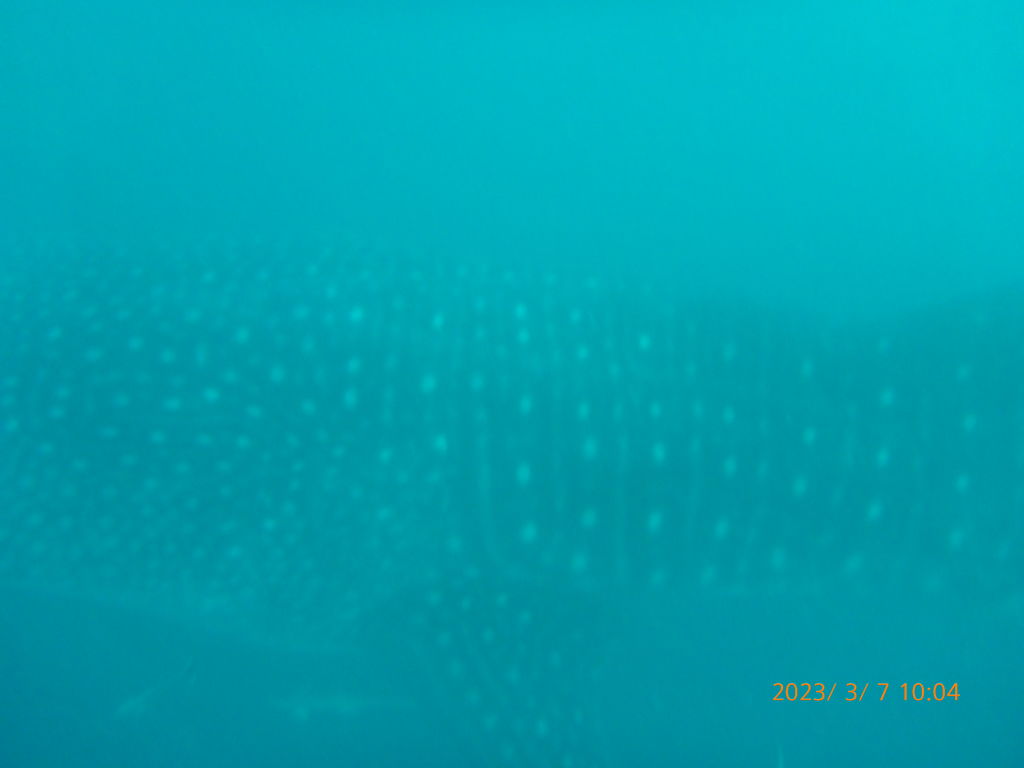 c255fd77-5100-4e7e-87b9-0b321bb28710