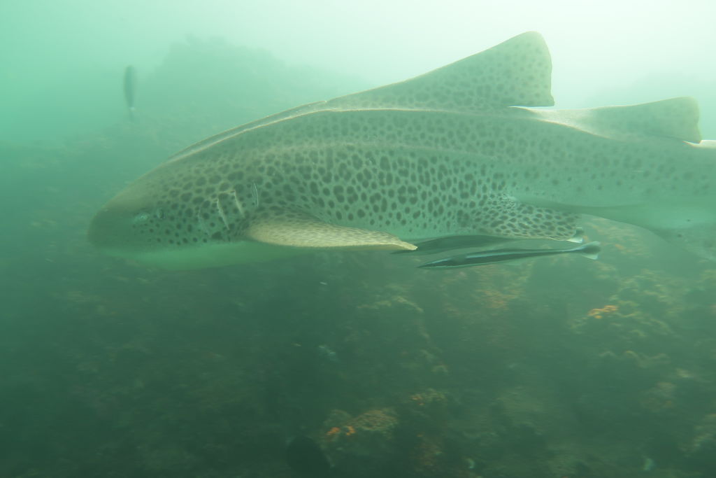 ecb95f7a-bff3-4fee-93f7-96b728648e2e