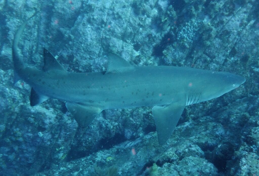 d1c60b20-c657-40d6-8376-2e269a4b6c8a