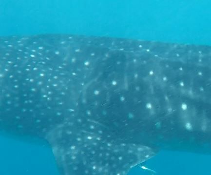 85bbd823-51d4-4955-bbdd-999a8fda5249