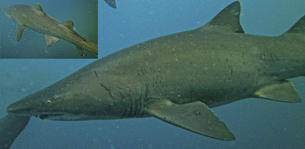 991baa6a-1ea6-477b-ba58-ba7f5488a510