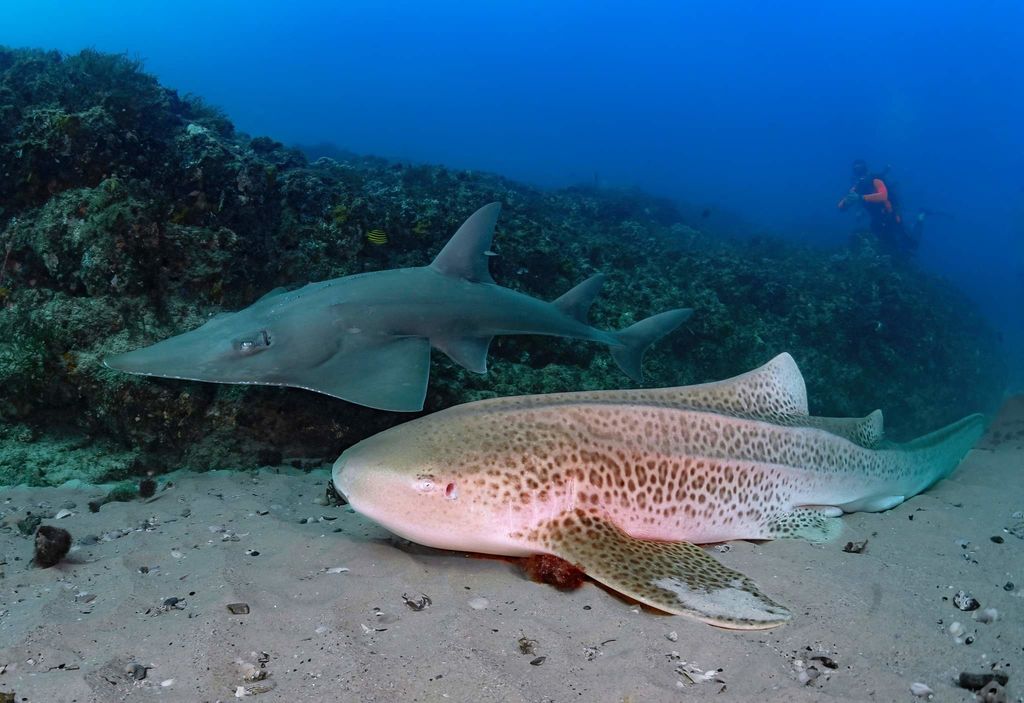 6147d429-e7d1-4adf-abc9-61f82acf6f60