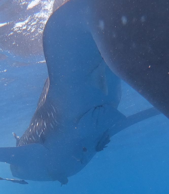 f0a6bd88-4fa0-4108-a82f-d614e58c17b6