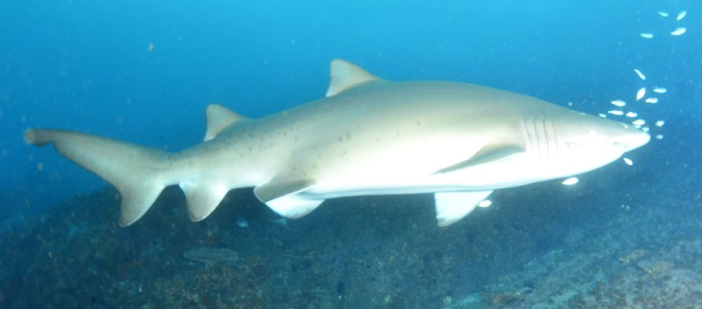 1f7d84a7-c635-476d-9727-4f4fa39b8fd1