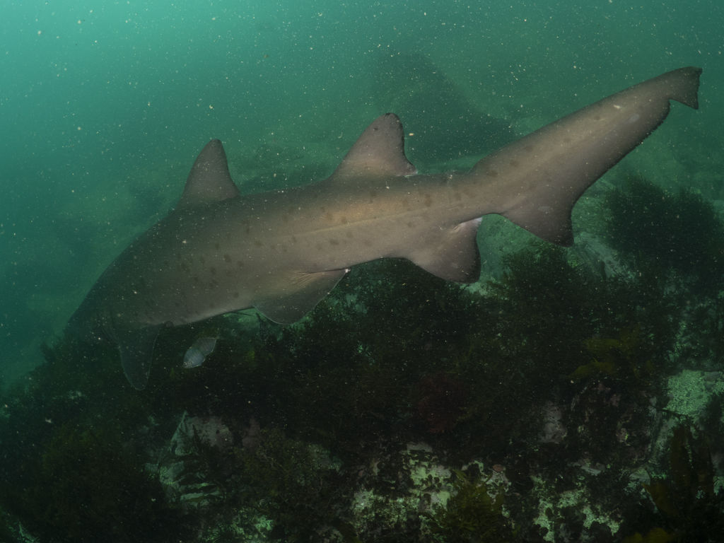 bd586eaf-e3a6-4f07-a372-6f8804183438