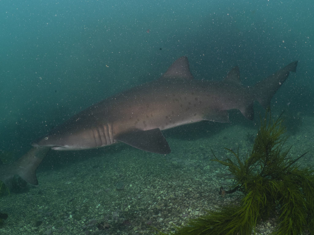 bd586eaf-e3a6-4f07-a372-6f8804183438