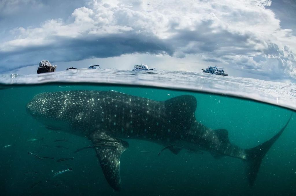 1c7fc1bd-6b57-4391-b9f2-d2daa3e87ae4