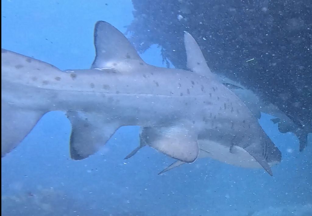 ed5442a3-3245-4d30-90c3-9478c40ab393