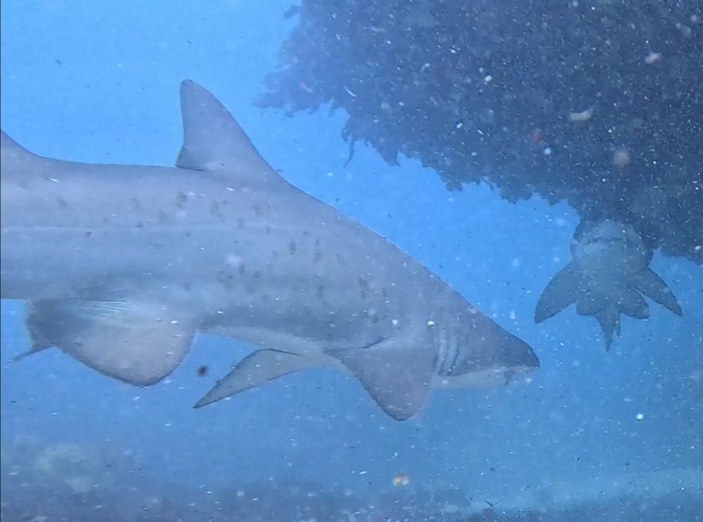 ed5442a3-3245-4d30-90c3-9478c40ab393